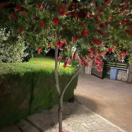 Villa Softades