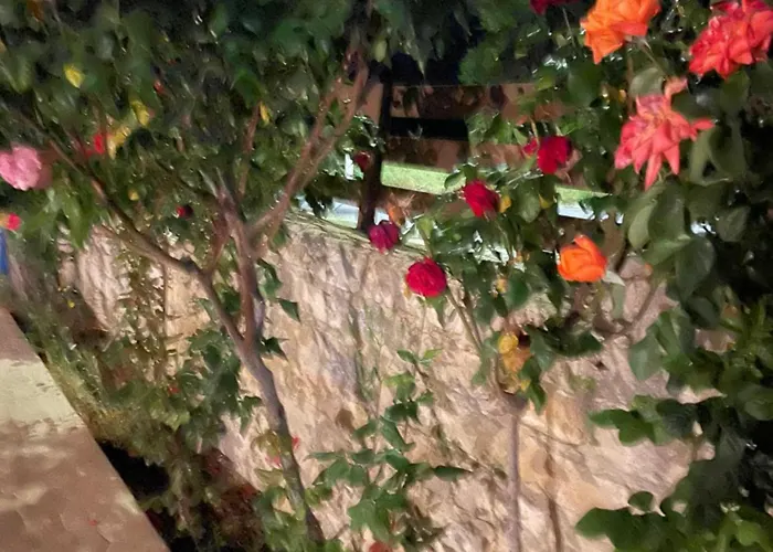 Softades * Όμοδος